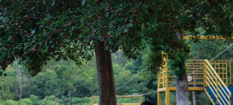 莫干山心领地度假村开元颐居度假酒店图片