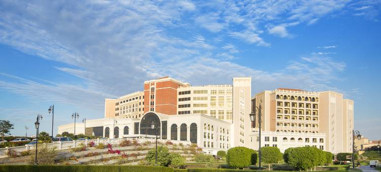 阿布扎比丽思卡尔顿大运河酒店(The Ritz-Carlton Abu Dhabi, Grand Canal)图片