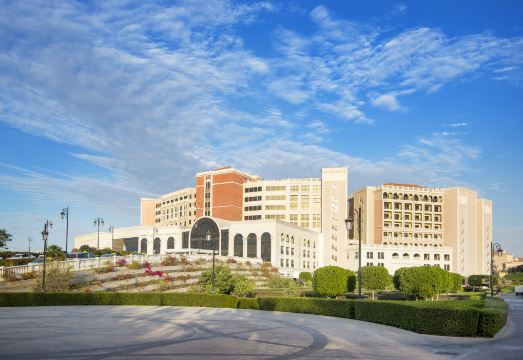 The Ritz-Carlton Abu Dhabi, Grand Canal Hotel Overview
