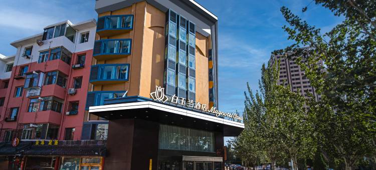 白玉兰酒店(包头万达广场正翔国际店)图片