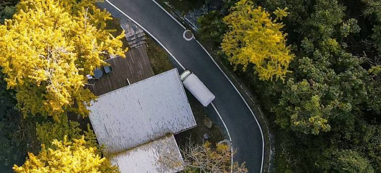 大乐之野·银杏谷(随州店)图片