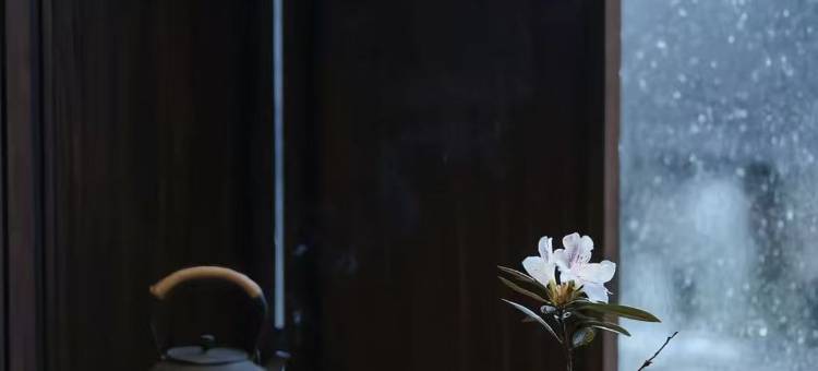 远方的家·古韵小院民宿(仁化丹霞山景区店)图片