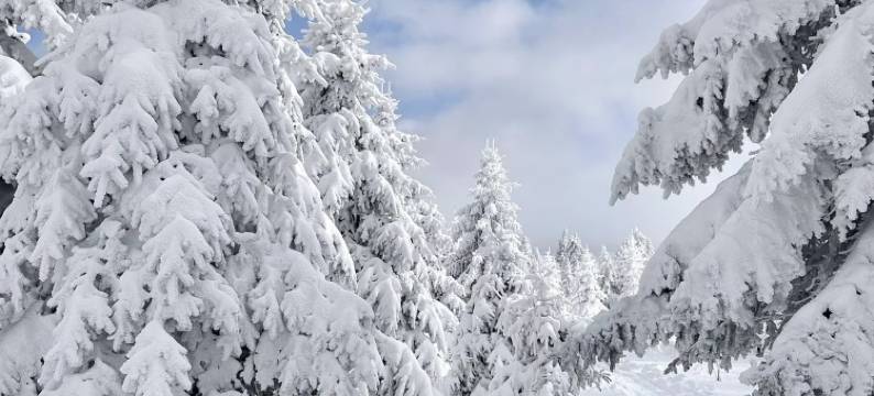 颐和居酒店图片