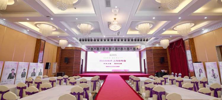 维也纳国际酒店(上海松江新桥店)图片