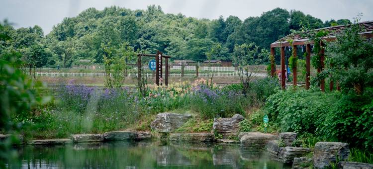 吉安钓源十里山房民宿(钓源十里芳菲店)图片