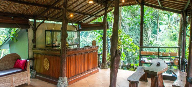 Bali Jungle Resort图片