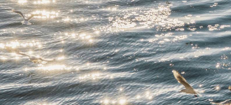 大理雲影春晓·有缘等风来海景度假酒店(双廊洱海店)图片