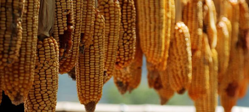 婺里小筑城市民宿(上饶市婺源文化广场店)图片