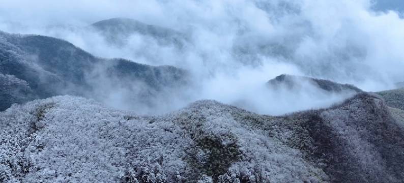 杭州鸬鸟希尔顿花园酒店图片