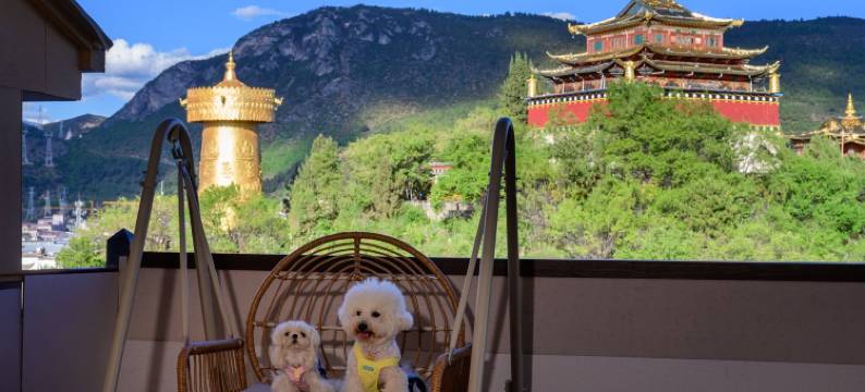 香格里拉云边观景民宿(独克宗古城大佛寺转经筒店)图片