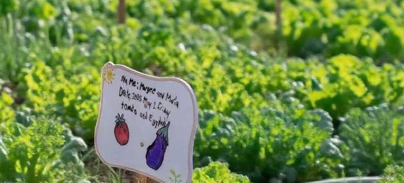 巢湖深业温泉假日度假酒店图片