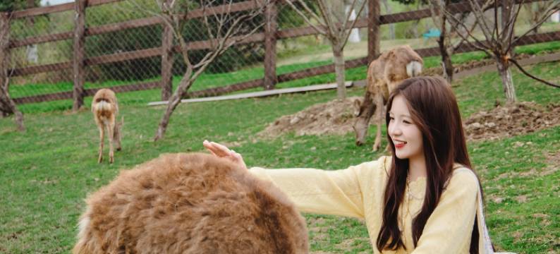 嘉兴开元森泊度假酒店图片