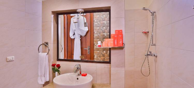 阿瓦里快捷费萨拉巴德酒店(Avari Xpress Faisalabad)图片