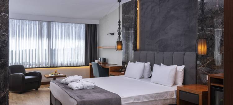 伊斯坦布尔排球酒店(Volley Hotel Istanbul)图片