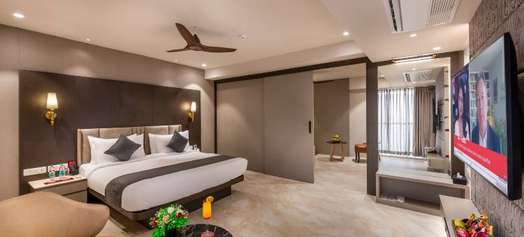 天空之光洛兹酒店(SkkyLight Lords Inn Nanded)图片