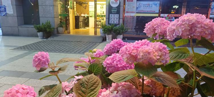 石棉滨江酒店图片