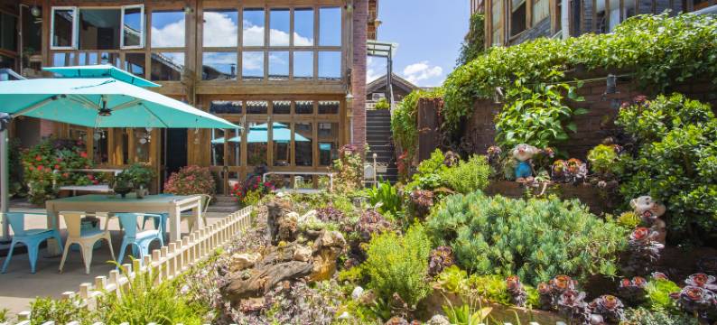 丽江春天里·站台艺术美宿图片