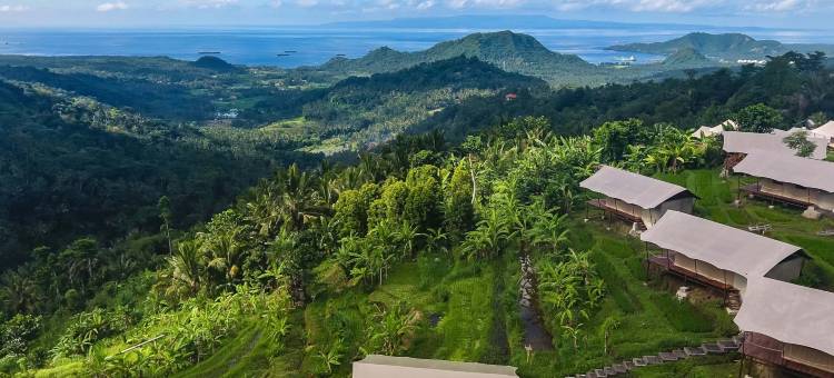 巴厘岛考拉营地(Kaura Bali)图片