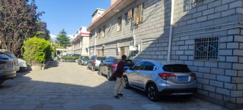 舒适青旅(布达拉宫店)图片