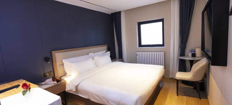 缦阁酒店(丽泽商务区丰台火车站店)图片