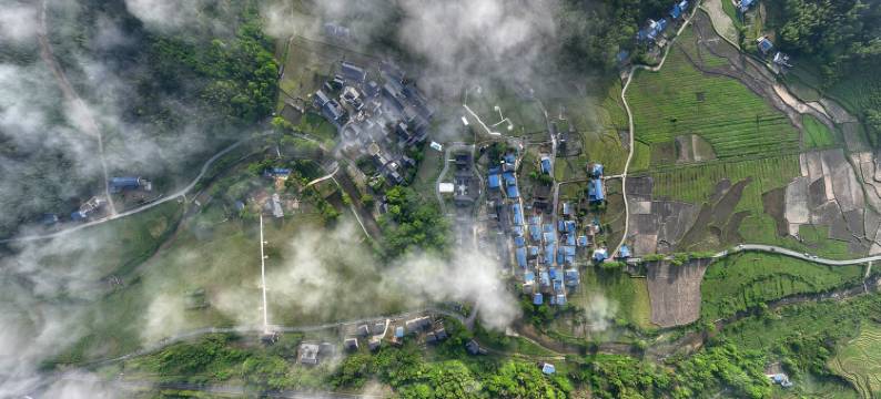 白鹭苑民宿图片