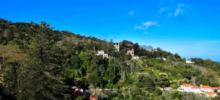 辛特拉中心 NH 酒店(NH Sintra Centro)图片