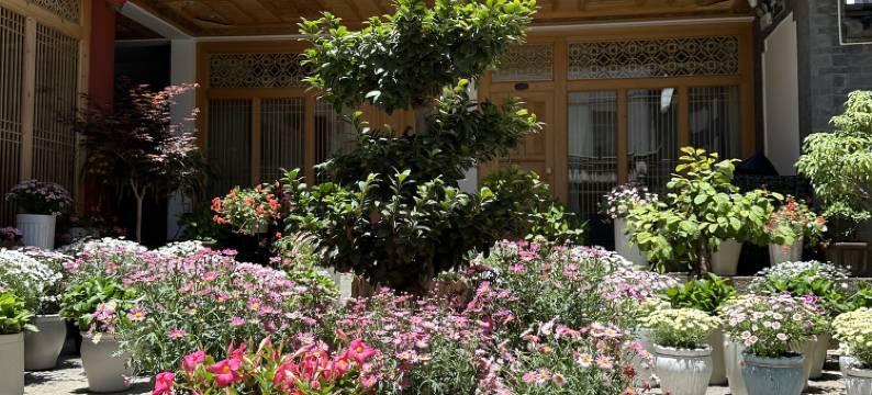 山茶半岛美宿(丽江束河古镇店)图片