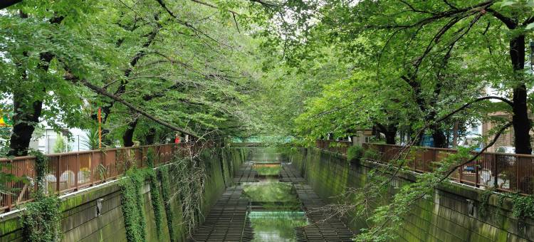 东京目黒青叶台多美迎快捷温泉酒店(多美迎・御宿野乃 酒店集团)(Dormy Inn EXPRESS Meguro-Aobadai Hot Spring)图片