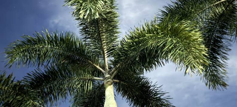 桔子酒店(深圳南山荔林地铁站店)图片