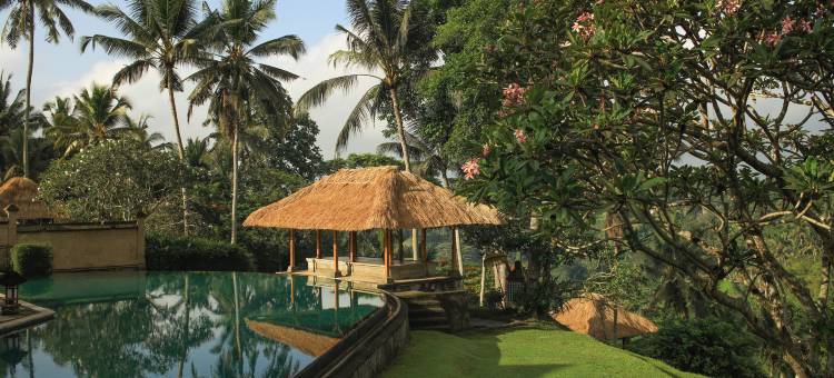 安缦黛宁(Amandari)图片