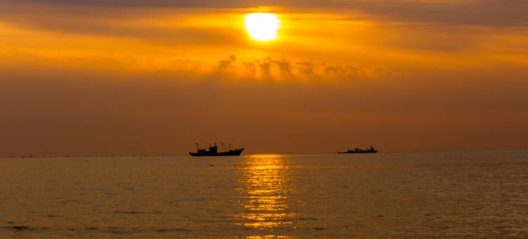 梧桐民宿(国际海水浴场日落湾店)图片