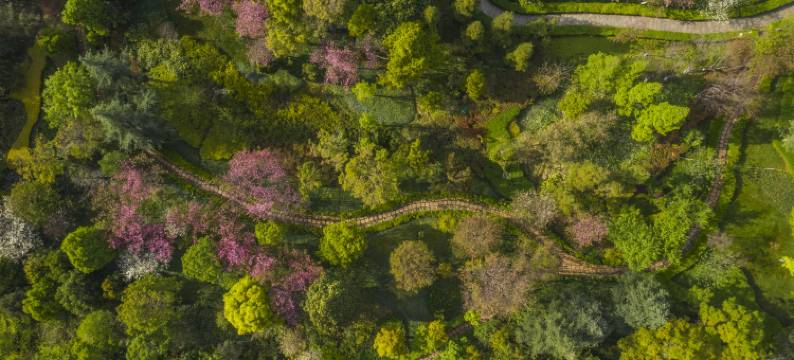 昆明海埂花园酒店图片