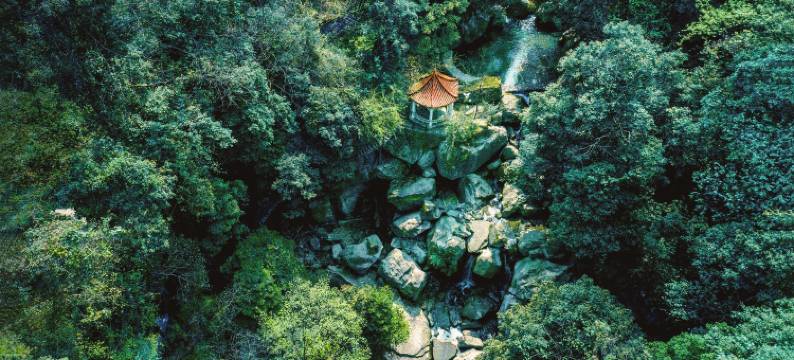 重庆朴乡金佛山度假酒店图片