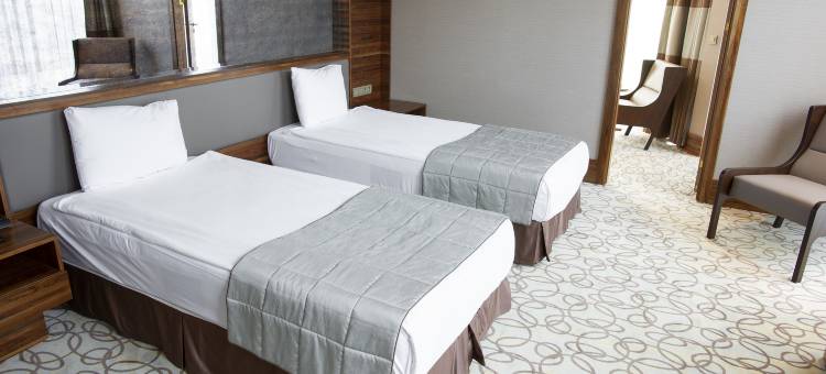 靠近德里机场的Ark Wood酒店(Hotel Ark Wood Residency Near Delhi International Airport)图片