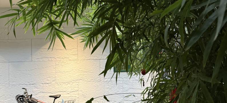 一亩三分in春树下民宿(陶溪川文创街区店)图片