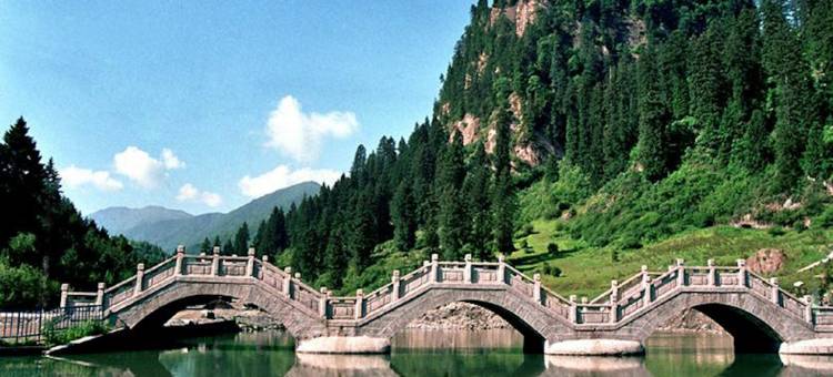 和政鸿森国际酒店图片