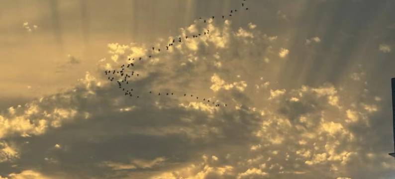 海陵岛悦慢海景公寓(海陵岛保利银滩店)图片