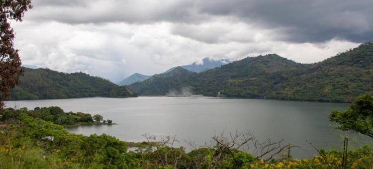 位于戴安娜的3卧室别墅-140平方米|带3个独立浴室(Cobalt Villa by the Serendipity Collection)图片