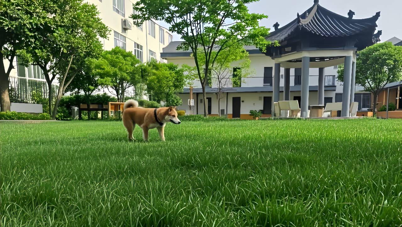 秦岭山居民宿图片