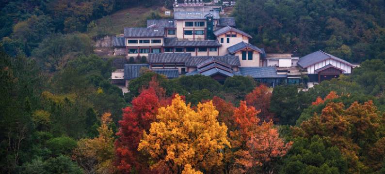 新昌大佛寺凡隐山庄图片