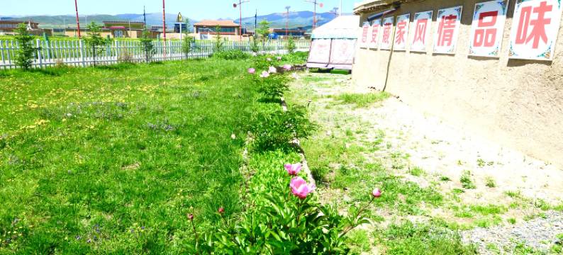 阿坝县卡西特色藏餐帐篷客栈图片