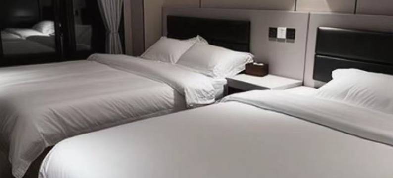 金阳雅致小栈(东台高铁汽车客运站店)图片