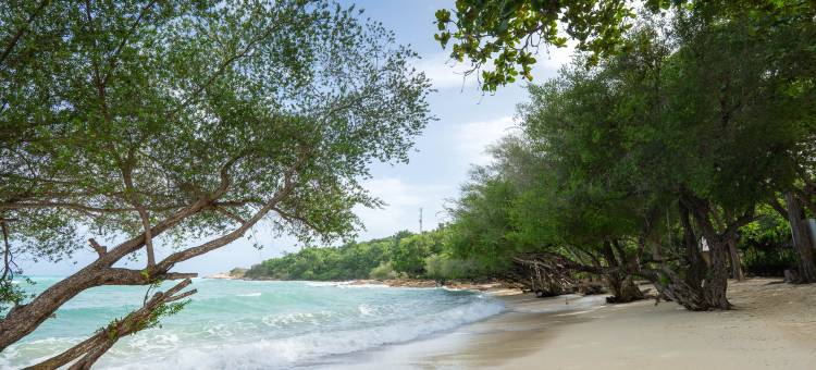 Kira Baya 沙美岛(Kira Baya Koh Samed)图片