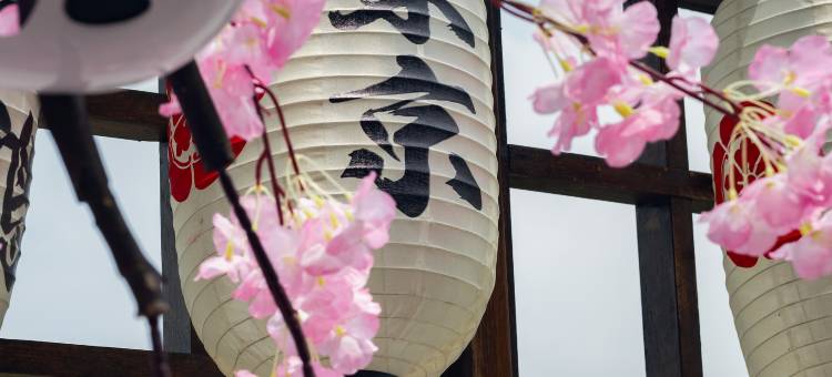 莫干竹取亭私汤民宿图片