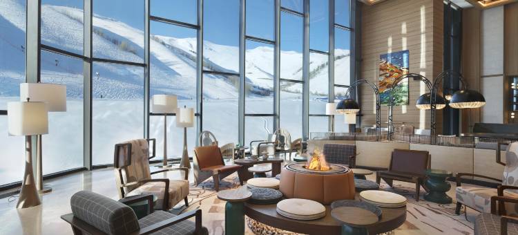 喀纳斯禾木假日度假酒店图片