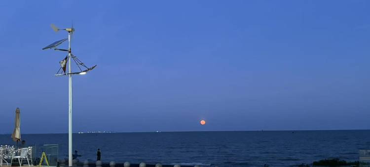 防城港树夏海景民宿(企沙簕山古渔村店)图片