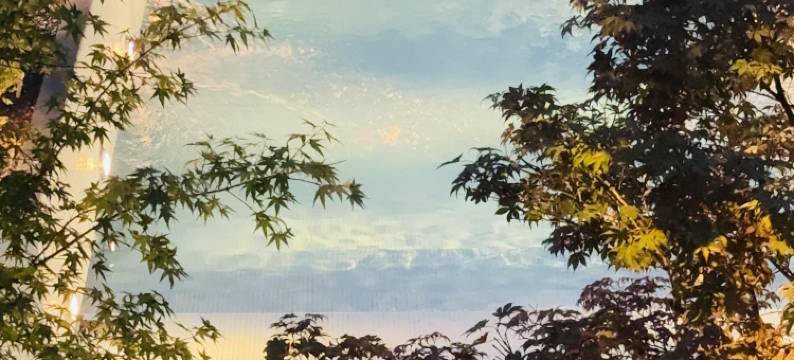 苏州浅山民宿(太湖西山风景店)图片