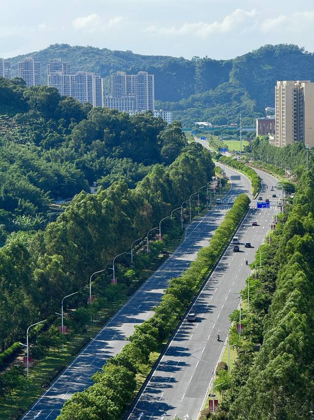 美豪丽致酒店(广州南沙天后宫店)图片