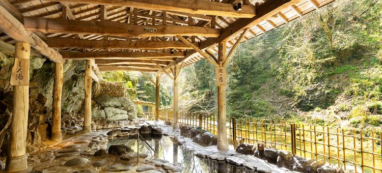 大江户温泉物语高级仙台作并(Ooedo Onsen Monogatari Premium Sendai sakunami)图片