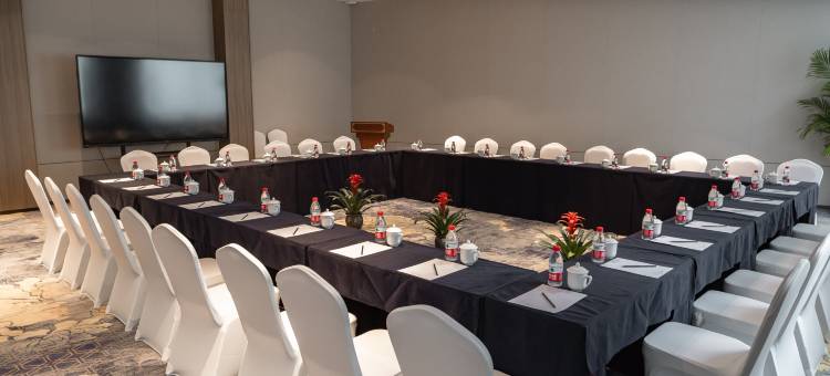 杭州临安青山湖雷迪森庄园图片